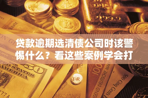 济南贷款逾期选清债公司时该警惕什么？看这些案例学会打翻身仗