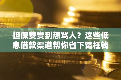 济南担保费贵到想骂人？这些低息借款渠道帮你省下冤枉钱