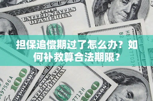 济南担保追偿期过了怎么办？如何补救算合法期限？
