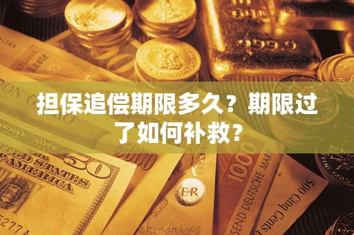 济南担保追偿期限多久？期限过了如何补救？