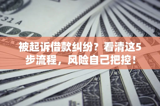 济南被起诉借款纠纷？看清这5步流程，风险自己把控！